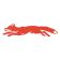 LE