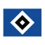 HSV