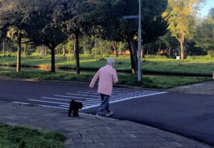 Dog walk and expletive text - key findings in Vondrousova anti-doping case