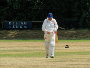 Essex sign batter Evans from Surrey